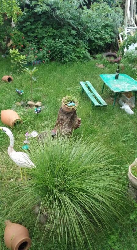 Guesthouse Giorgi Telavi Bagian luar foto