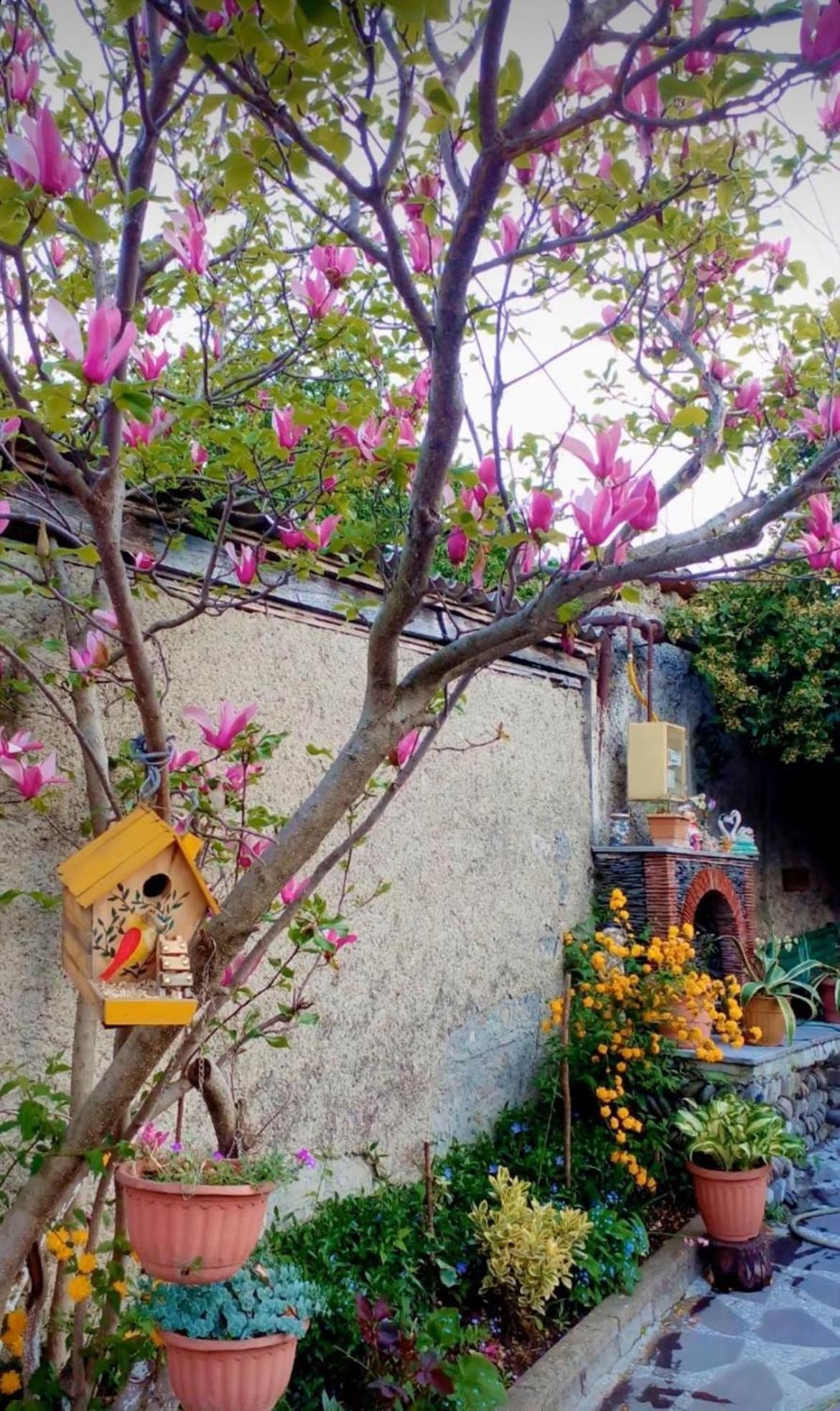 Guesthouse Giorgi Telavi Bagian luar foto