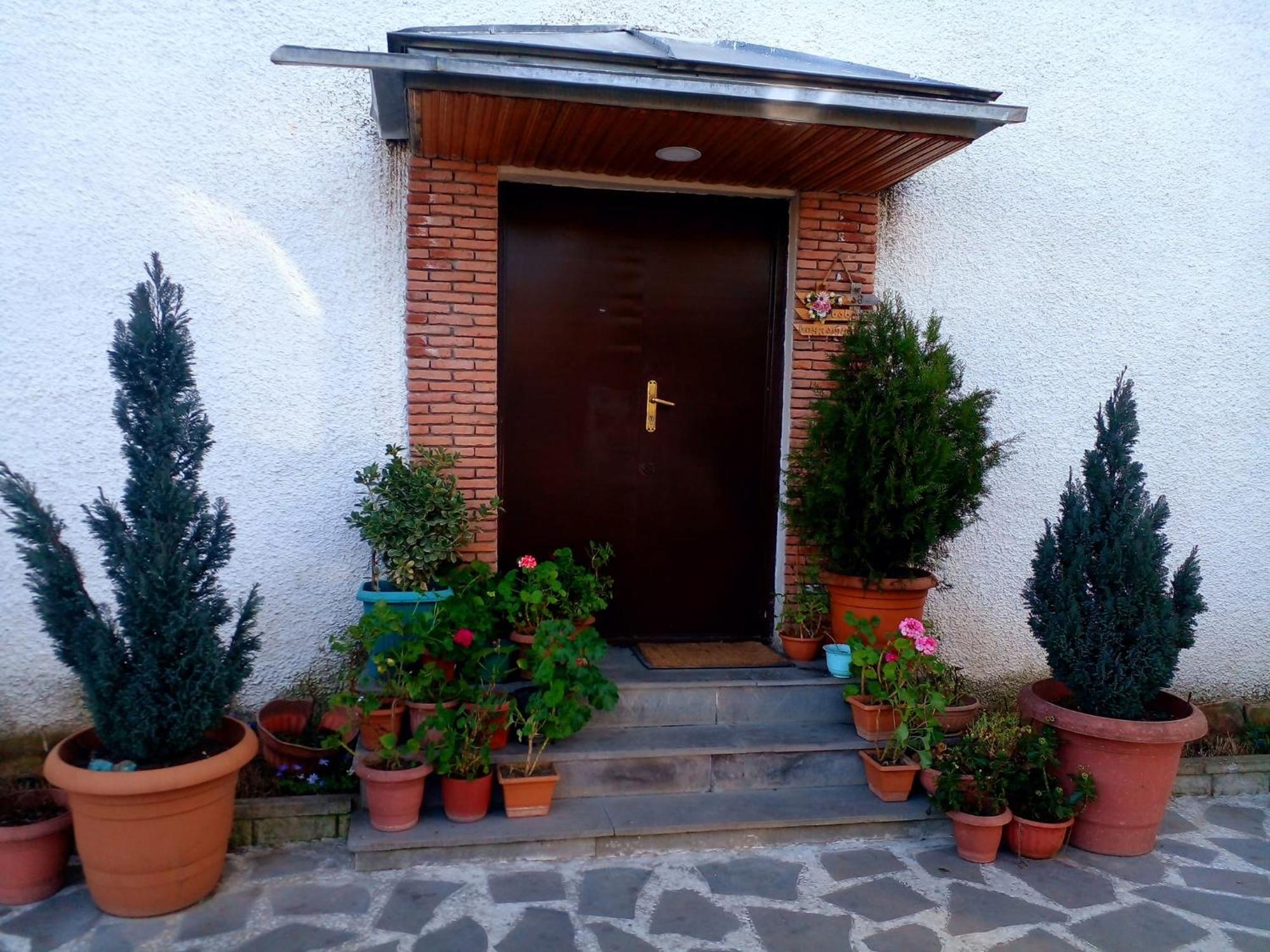 Guesthouse Giorgi Telavi Bagian luar foto